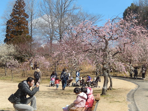 DSCN1684
