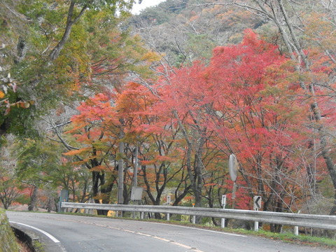 DSCN8819