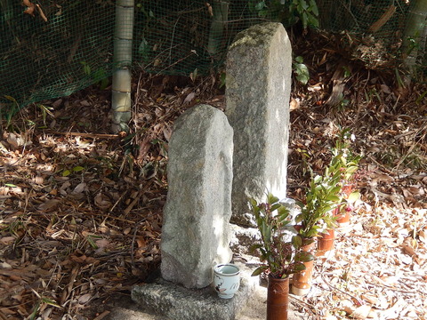 DSCN0118