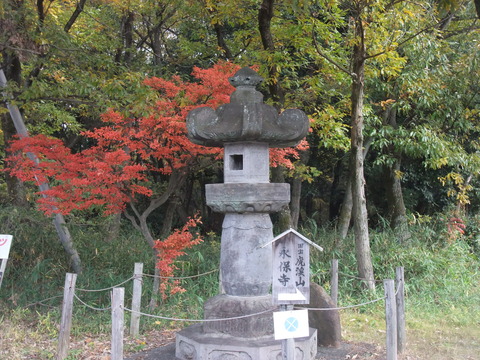 DSCF0001