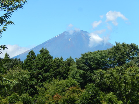 DSCN4146