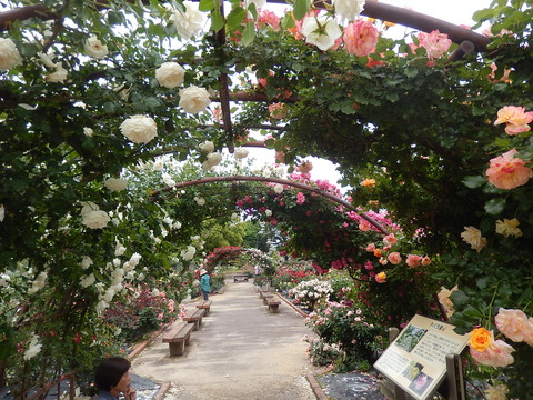 DSCN3955