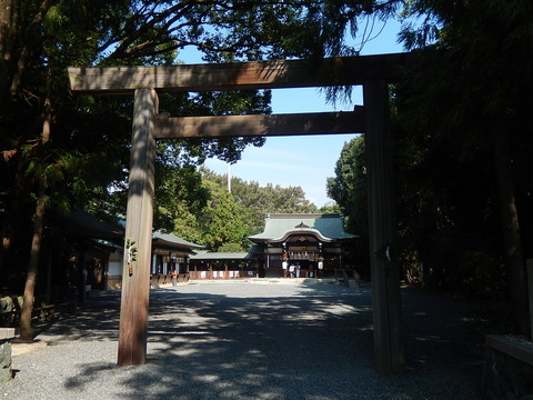 DSCN8664