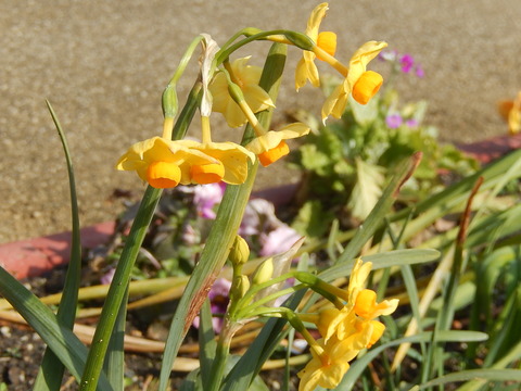 DSCN0968