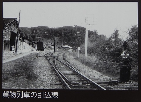 DSCN7584 (3)