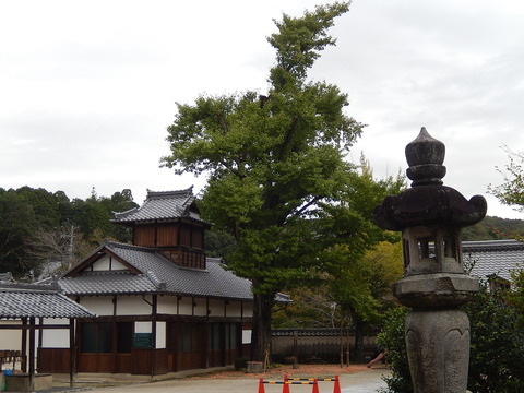 DSCN9918
