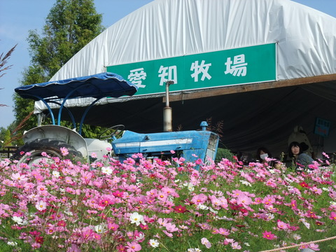 DSCF0001