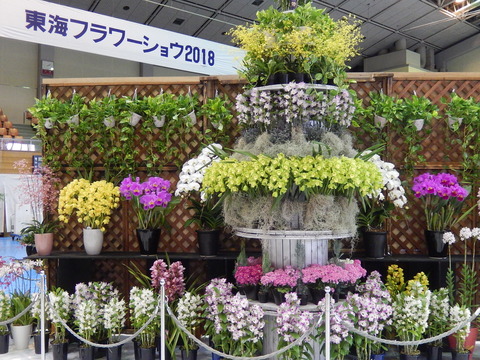DSCN0153