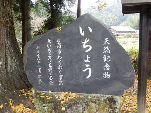 DSCN8800