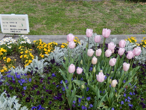DSCN0804