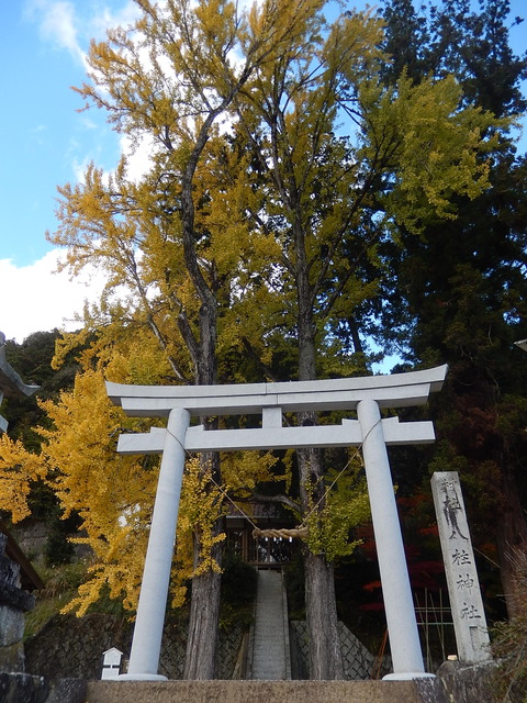 DSCN8262