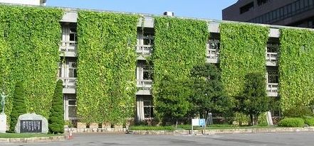 green_curtain (2)