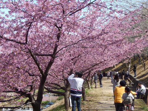 DSCN1519