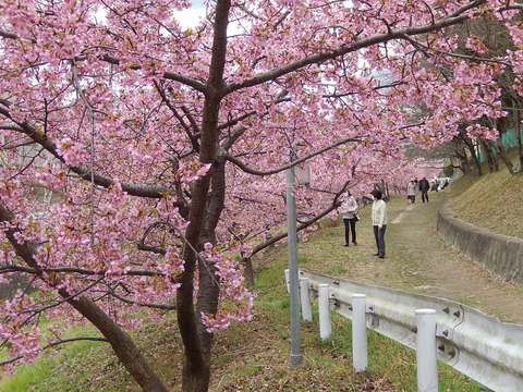DSCN2340