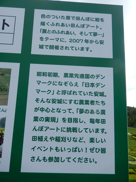DSCN4030