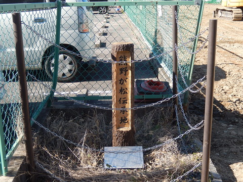 DSCN8962