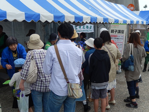 DSCN8794