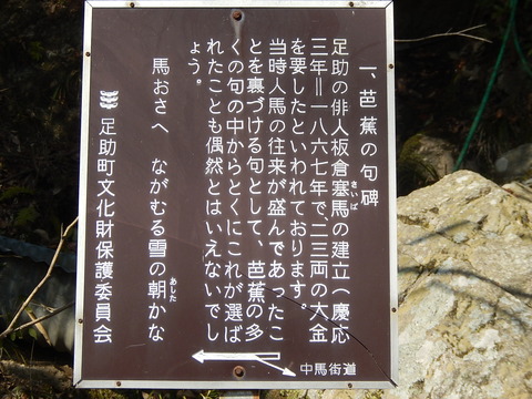 DSCN0780