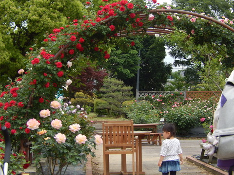 DSCN9495