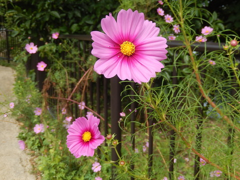 DSCN9446