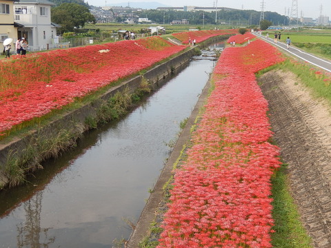 DSCN6326