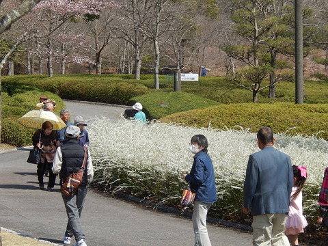 DSCN9865