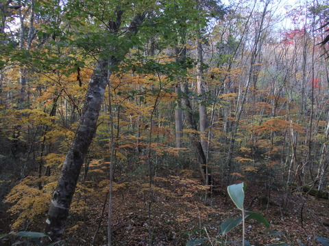 DSCF0040