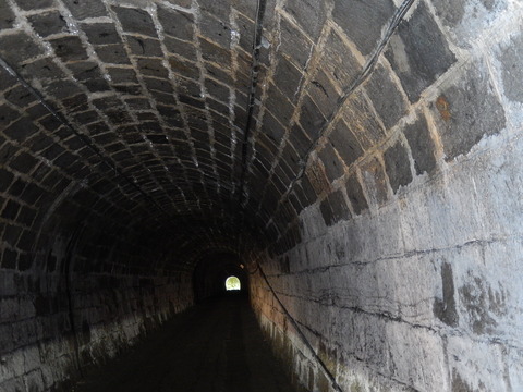 DSCN7548