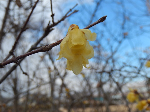 DSCN0123