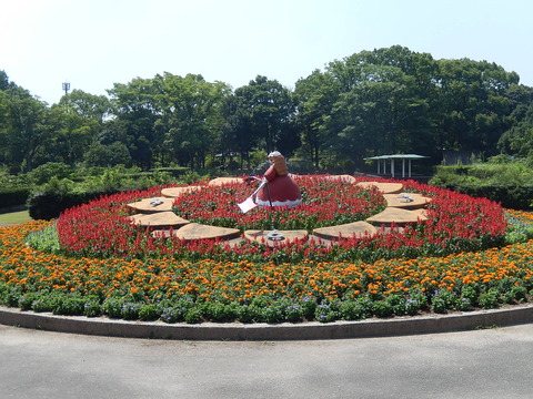 DSCN4600