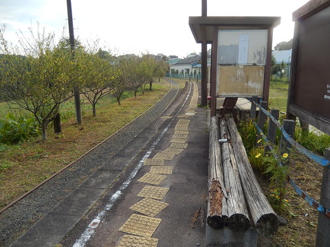 DSCN7600