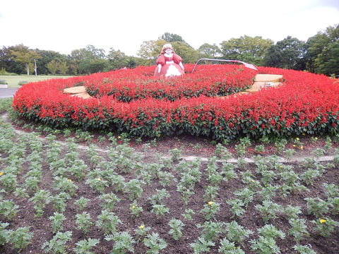 DSCN5779