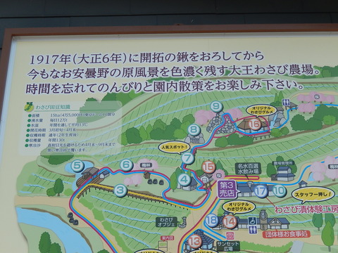 DSCN4907
