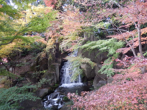 DSCN0625