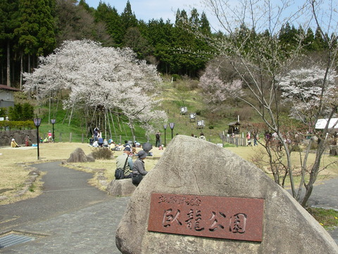 DSCN1048