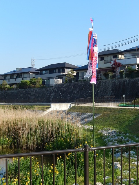 DSCN1457