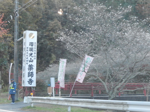 DSCN8882