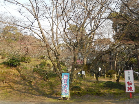 DSCN9247