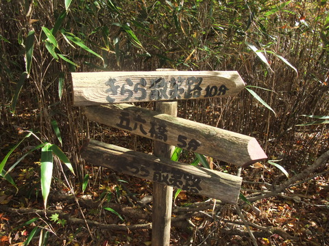 DSCF0032