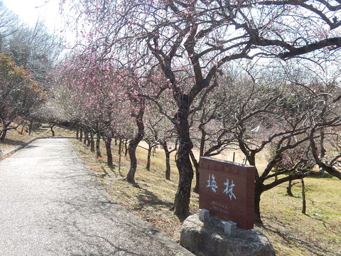 DSCN0751