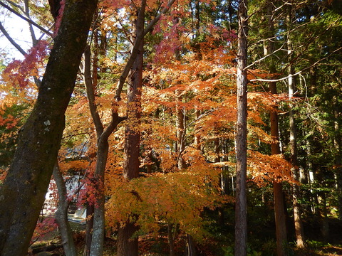DSCN9779