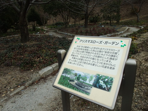 DSCF0049