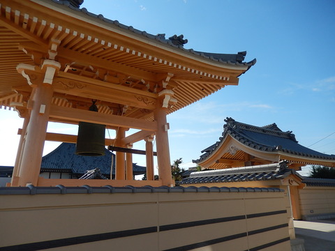 DSCN4528