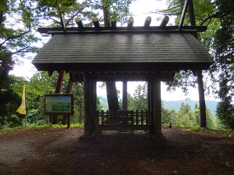 DSCN7593