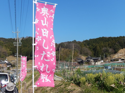 DSCN9645
