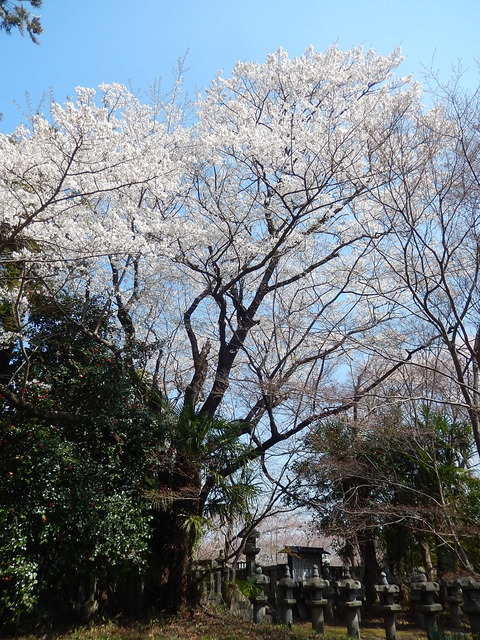 DSCN1814
