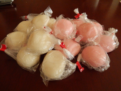 DSCN0847