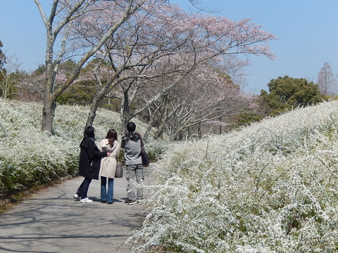 DSCN9856