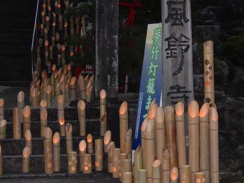 DSCN5846