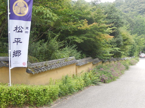 DSCN5008